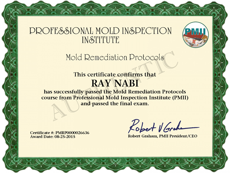 Certified Mold Remediation Protocols