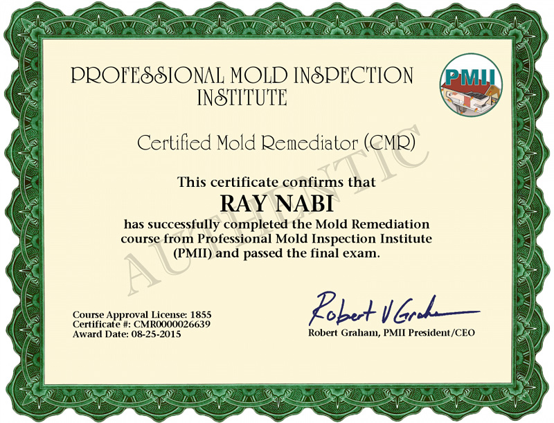 Certified Mold Remediator