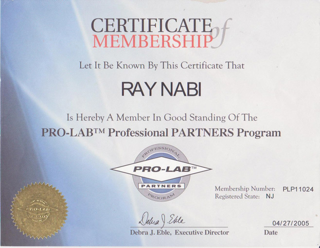 Pro Lab Partners Certification